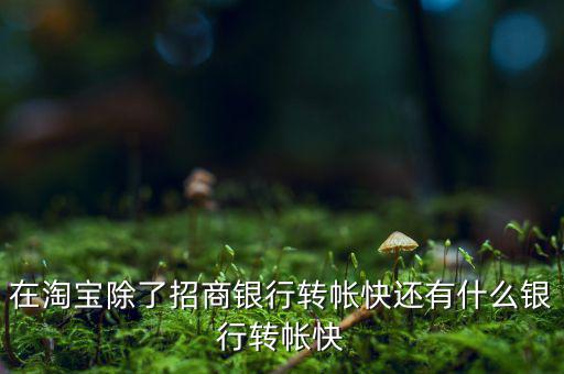 什么銀行網(wǎng)上轉(zhuǎn)賬最慢，在淘寶除了招商銀行轉(zhuǎn)帳快還有什么銀行轉(zhuǎn)帳快