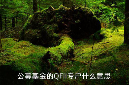 公募專戶是什么意思，什么是基金專戶
