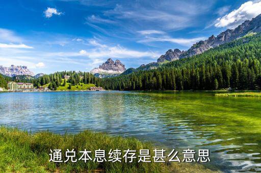銀行續(xù)存是什么意思，存折里面續(xù)存是什么意思自動(dòng)轉(zhuǎn)存嗎