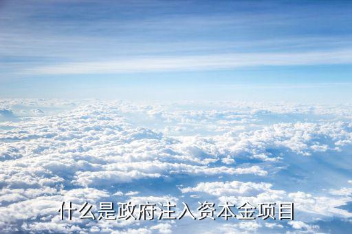 什么是資本金注入，什么是政府注入資本金項(xiàng)目