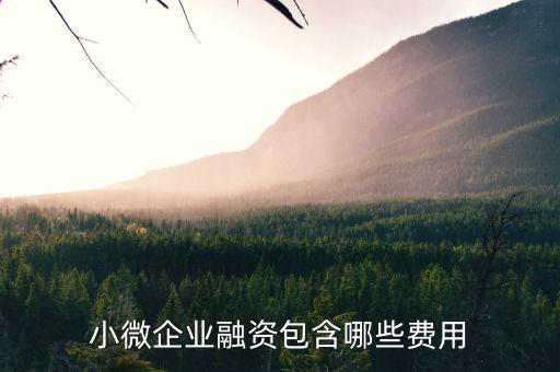 小微企業(yè)兩禁資金管理費(fèi)指什么，減半征收城鎮(zhèn)土地使用稅和房產(chǎn)稅的小微企業(yè)標(biāo)準(zhǔn)