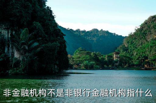 非金融機構指什么，非金融機構不是非銀行金融機構指什么