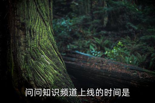 愛網(wǎng)貸平臺什么時候上線，問問知識頻道上線的時間是