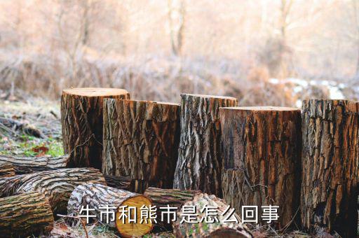 什么是熊市，人們?nèi)粘Ｕ務(wù)摴墒行星闀r常提及牛市熊市其中牛市指
