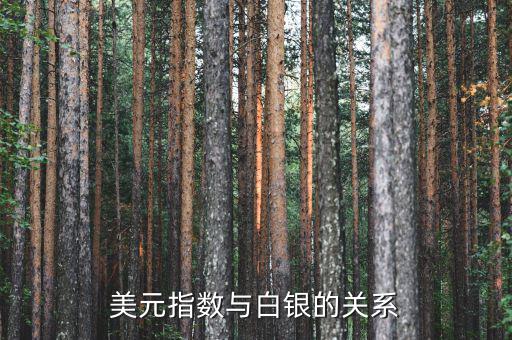 美元與白銀為什么成反比，白銀價(jià)格與美元匯率有什么關(guān)系