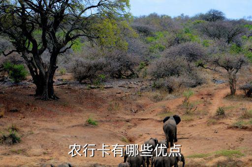 福農(nóng)卡有什么好處，農(nóng)行卡有哪些優(yōu)點(diǎn)