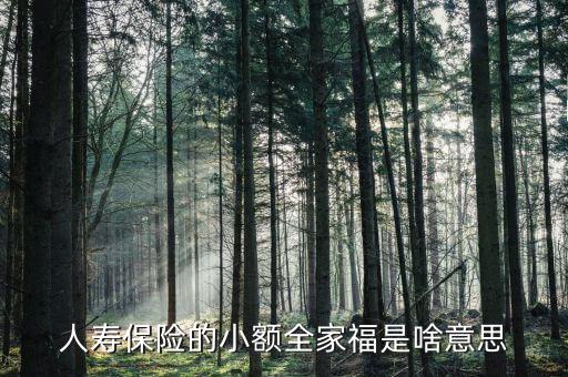 人壽全家福是什么意思，人壽保險的小額全家福是啥意思