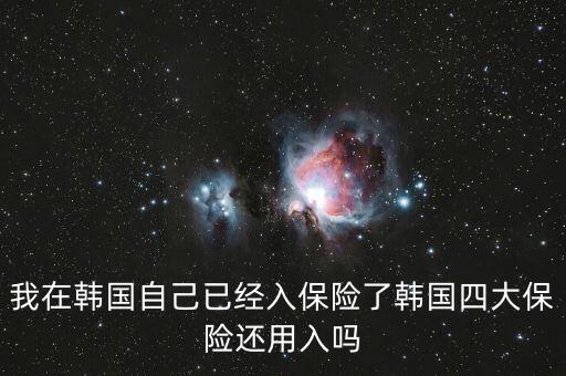 韓國四大保險(xiǎn)是什么險(xiǎn)，韓國一月扣十萬韓幣是什么保險(xiǎn)