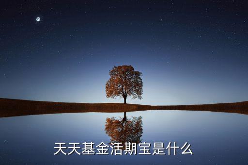活期寶是什么基金，天天基金活期寶是什么