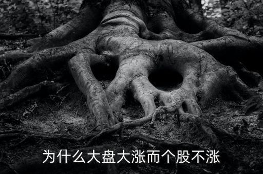 板塊都漲我的個股不長什么原因，為什么大盤大漲而個股不漲