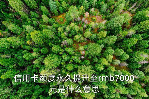 信用卡永久額度是什么意思，信用卡額度永久提升至rmb7000元是什么意思