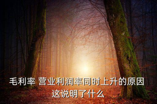 毛利率增長(zhǎng)說(shuō)明什么，增值稅毛利率的高低說(shuō)明什么