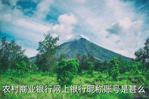 吳江農(nóng)村商業(yè)銀行用戶名是什么，銀行用戶名是什么