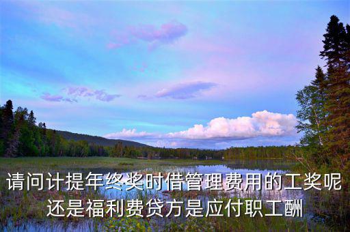 計提獎金是什么意思，請問計提年終獎時借管理費用的工獎呢還是福利費貸方是應(yīng)付職工酬