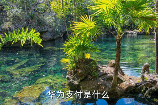 華銀支付是什么，華為支付是什么