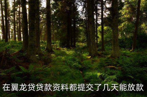 翼龍貸什么時候放項目，在翼龍貸貸款資料都提交了幾天能放款