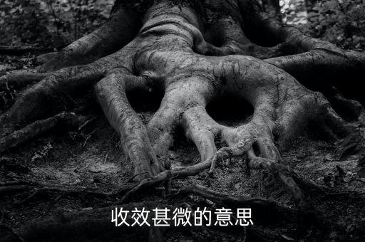 收效甚微的微是什么意思，收效甚微的意思