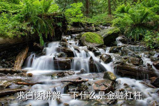 金融杠桿是什么，求白話講解一下什么是金融杠桿