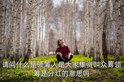 什么是領(lǐng)投人，請(qǐng)問什么是領(lǐng)籌人是大家集資叫眾籌領(lǐng)籌是分紅的意思嗎