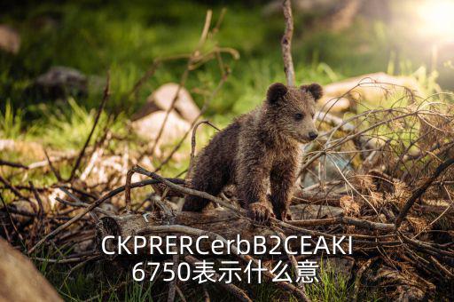 分類調(diào)控是什么意思，CKPRERCerbB2CEAKI6750表示什么意