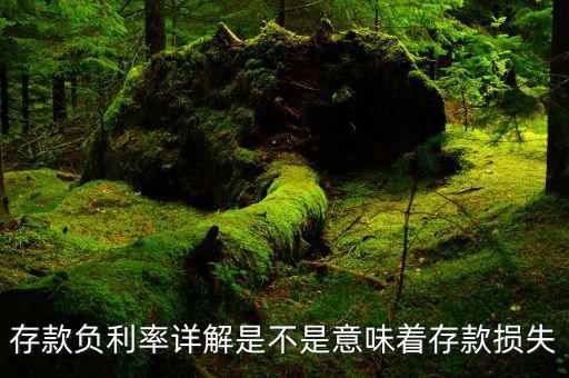 負(fù)利率也沒(méi)什么可怕，負(fù)利率是什么意思會(huì)有什么影響