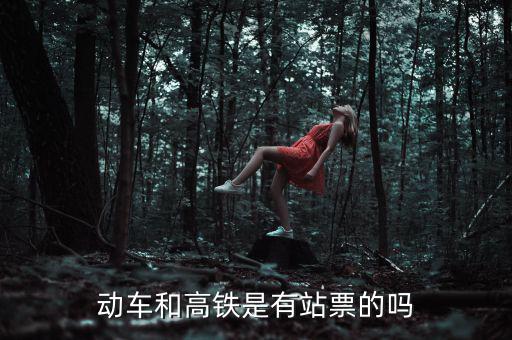 為什么高鐵沒有站票，為什么高鐵沒有站票