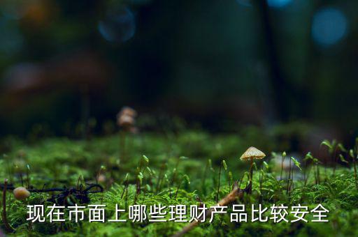 什么理財(cái)產(chǎn)品安全，做理財(cái)哪種安全些