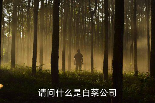 請(qǐng)問什么是白菜公司