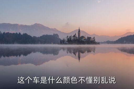 尼日利亞的國(guó)車(chē)是什么顏色，GIN的車(chē)子是什么牌子什么顏色的