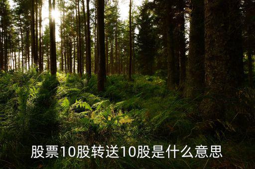 十股轉(zhuǎn)贈(zèng)十股是什么意思，股票10股轉(zhuǎn)送10股是什么意思