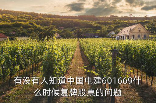 設計股份什么時候復牌，股權激勵方案出臺到復牌要多長時間