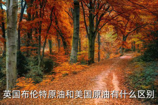布油與美國原油有什么不同，英國布倫特原油和美國原油有什么區(qū)別