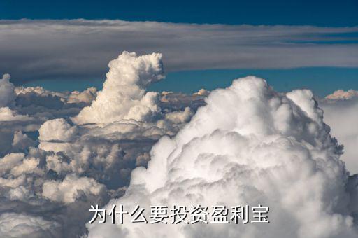 盈利寶是什么，為什么要投資盈利寶