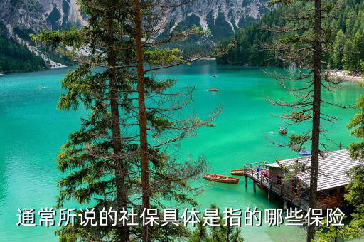社保包括什么保險(xiǎn)，社保具體是指的哪些保險(xiǎn)