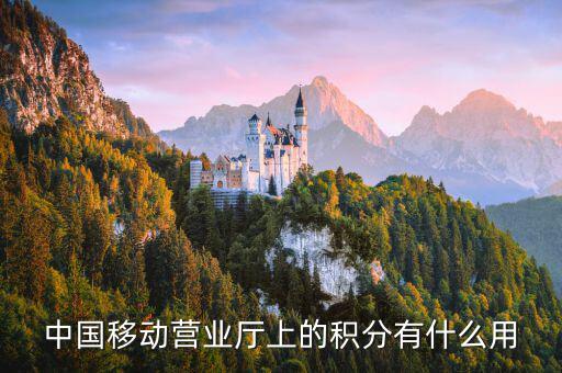 10086的積分有什么用，移動電話積分有什么用
