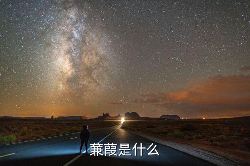 什么蒹施，蒹葭是什么意思