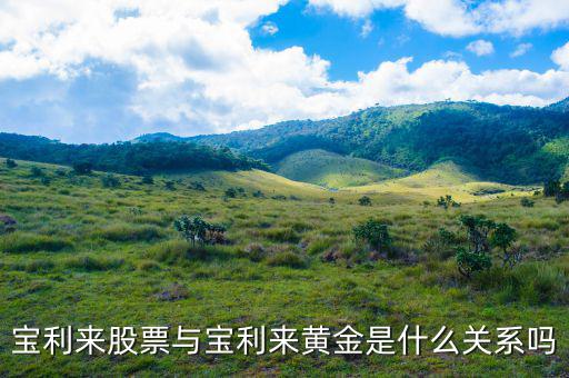 為什么寶利來大漲，寶利來會漲嗎
