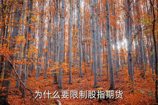 為什么不暫停股指期貨，為什么要限制股指期貨