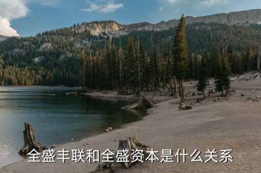 全盛資本什么背景，全盛資本是做什么的屬于哪個(gè)行業(yè)的