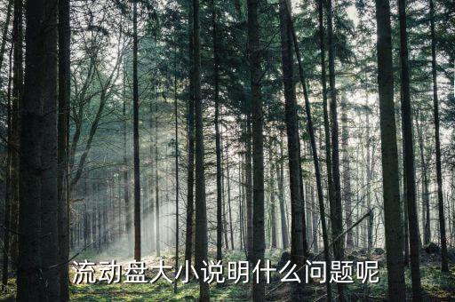 流通盤(pán)大小是什么意思，流通盤(pán)大小作用等