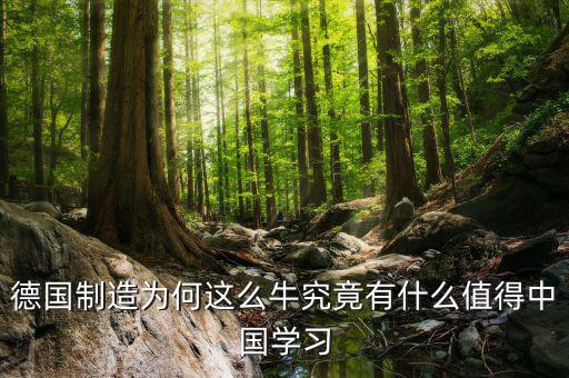 德國(guó)制造學(xué)什么，請(qǐng)問知情的盆友們?nèi)サ聡?guó)留學(xué)材料加工類鑄造焊接模具