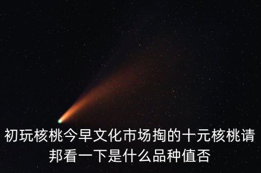 賭核桃是什么品種，請問我這個手玩核桃是什么品種好嗎值多錢
