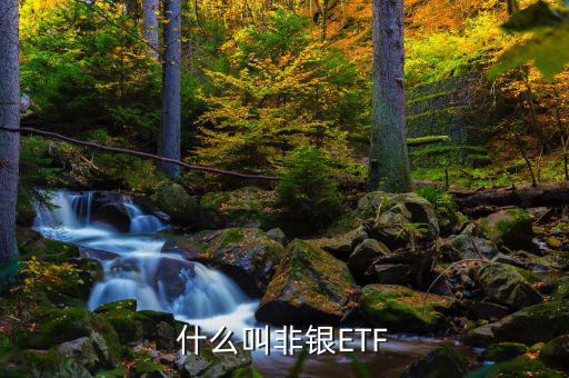 非銀etf是什么意思，易方達(dá)滬深300非銀etf是什么意思