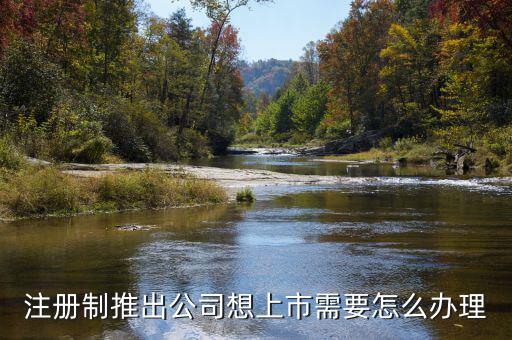 注冊(cè)制上市要什么條件，注冊(cè)制推出公司想上市需要怎么辦理