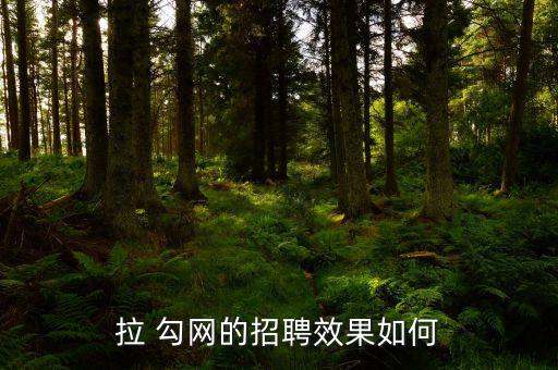 拉勾網怎么屏蔽公司,互聯(lián)網招聘網站la勾網簡歷只能被查看