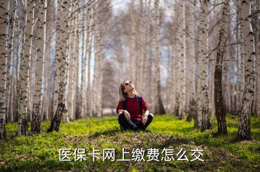  醫(yī)?？ňW(wǎng)上繳費(fèi)怎么交