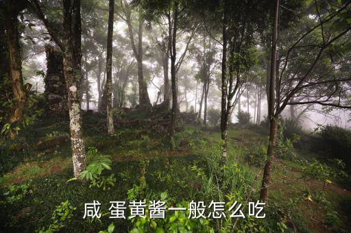 人造蛋黃醬怎么吃,蛋黃醬可用于面包沙拉、壽司等