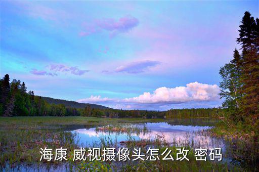  ?？?威視攝像頭怎么改 密碼