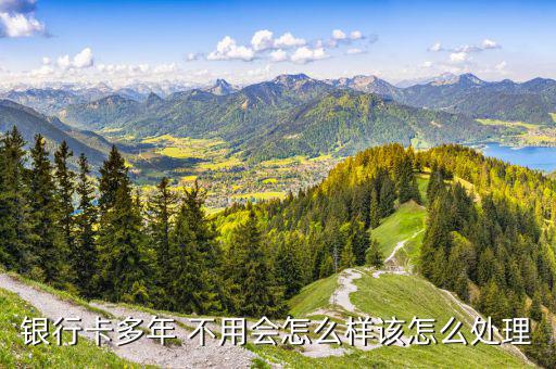 儲蓄卡不用了怎么辦,系統(tǒng)不會自動注銷農(nóng)行中行、郵政儲蓄卡