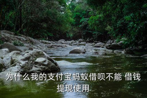 借錢寶怎么申請?zhí)岈F金,支付寶是正規(guī)平臺上有借錢功能小程序